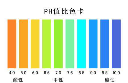 凤尾菇有哪些杂菌虫害?