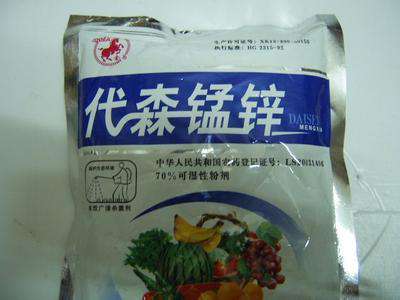金银花种植技术
