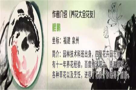 作者介绍 作者介绍