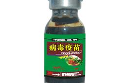 木瓜树栽培