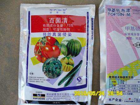 莴苣菌核病怎么防治？