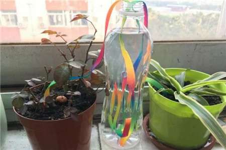 塑料瓶当吊瓶 塑料瓶当吊瓶