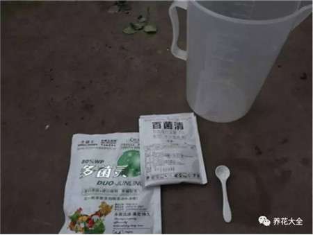 消毒 消毒