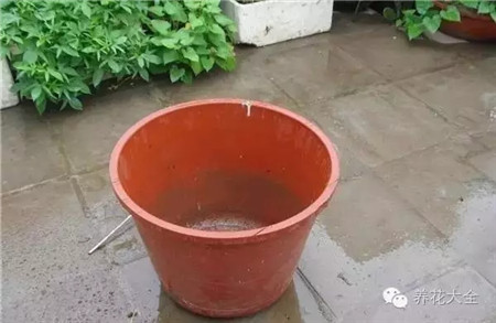 空空的水桶 空空的水桶