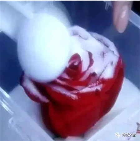 微波炉 微波炉