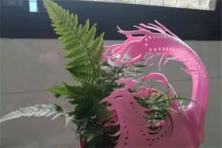 洗衣液桶做花盆 洗衣液桶做花盆