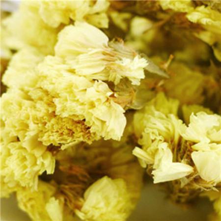 迎春花的药用功效 迎春花的药用功效