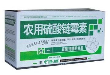 生菜种植