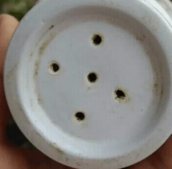 打洞 打洞