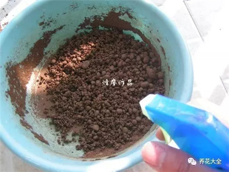 土壤都滚成小球 土壤都滚成小球