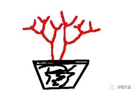 修剪 修剪