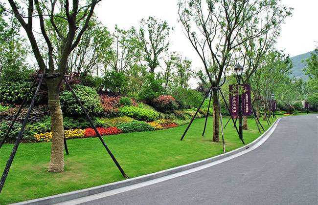 1547862021767090.jpg 园林植物修剪.jpg