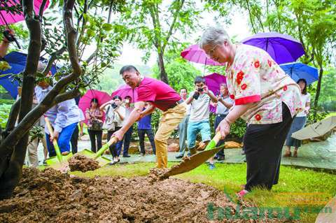 佛山：茶花协会总部设定 助力绿化景观建设
