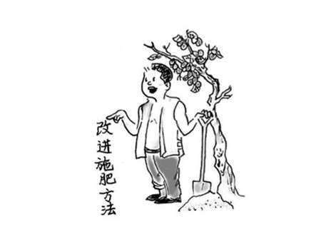 石榴花施肥方法 石榴花施肥方法