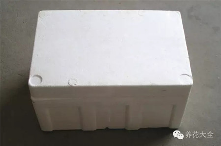 泡沫箱 泡沫箱