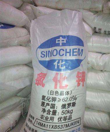 施用含氯化肥需要注意什么?