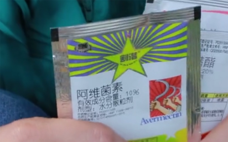 1531136570122287.png 月季常见“黑白红”三种病害如何防治