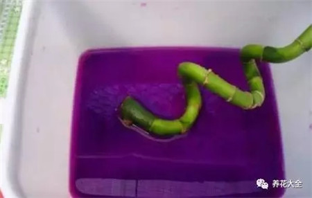 浸水 浸水