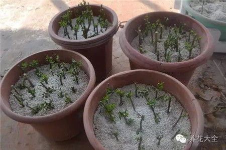 介质的要求 介质的要求