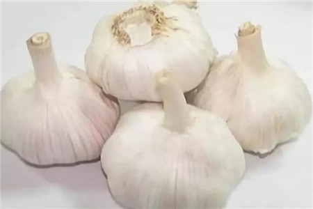 大蒜 大蒜