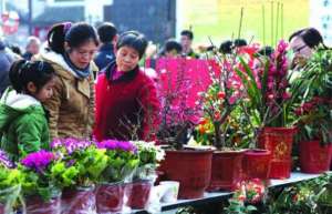 南京花市热闹不再，花卉打折也难卖
