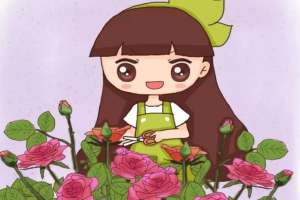 玫瑰洋桔梗···鲜花