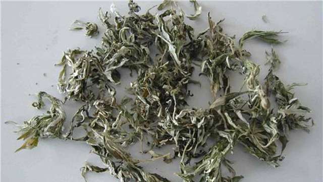 艾草煮水喝的功效 艾草煮水喝的功效
