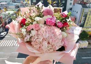 绣球花的养殖方法，收到绣球花如何水养保鲜？