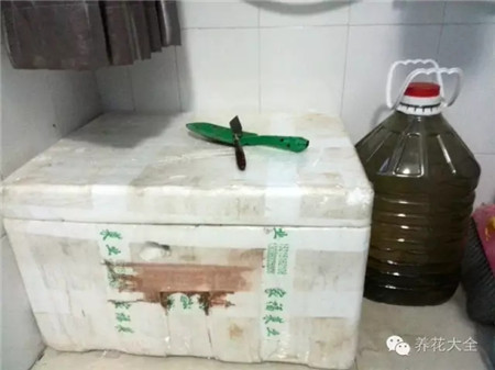 把泡沫箱盖上 把泡沫箱盖上