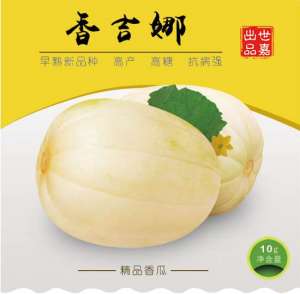 香瓜种子哪个品种好，香瓜品种大全