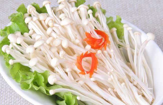 金针菇的品种有哪些？