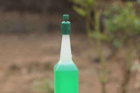水荷花 水荷花