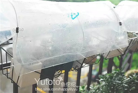 遮雨棚 遮雨棚