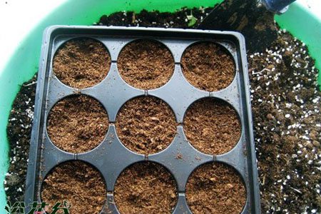 百万小铃种植用土 百万小铃种植用土