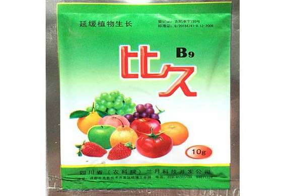 种植龙眼什么时候可以使用植物生长调节剂?