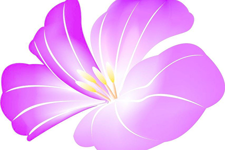 漂亮的杜鹃花 漂亮的杜鹃花