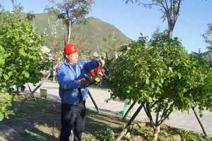 一名合格绿化工的国家职业标准