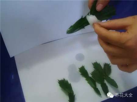 消毒 消毒