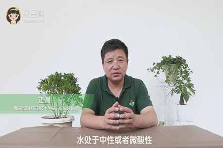 水处于中性或者微酸性 水处于中性或者微酸性