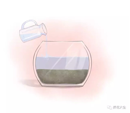 倒入清水 倒入清水