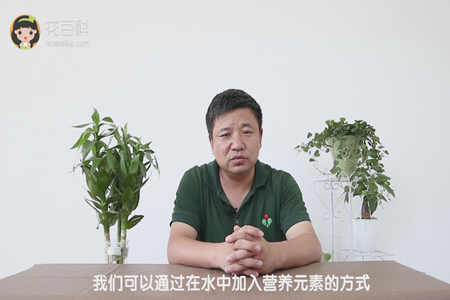 我们可以通过在水中加入营养元素的方式 我们可以通过在水中加入营养元素的方式