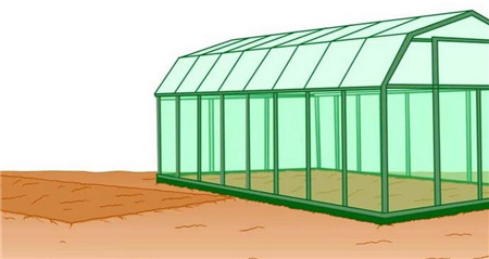 选择种植生菜的场所 选择种植生菜的场所