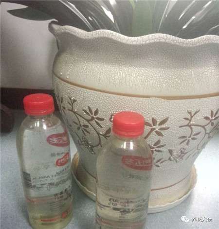 二、看水温 二、看水温