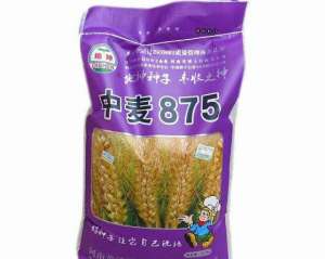 中麦875小麦品种怎么样？