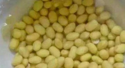 黄豆水 黄豆水