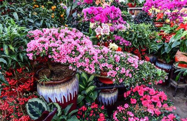 花卉销售2.jpg