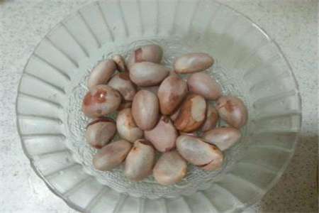 菠萝蜜核 菠萝蜜核