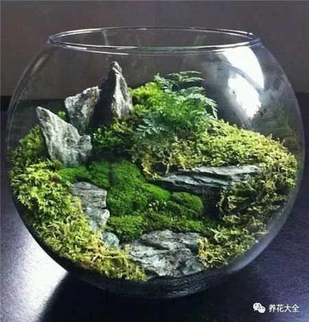 花 花