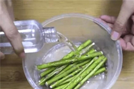 柳枝泡水 柳枝泡水