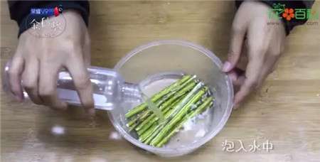 柳树枝条 柳树枝条
